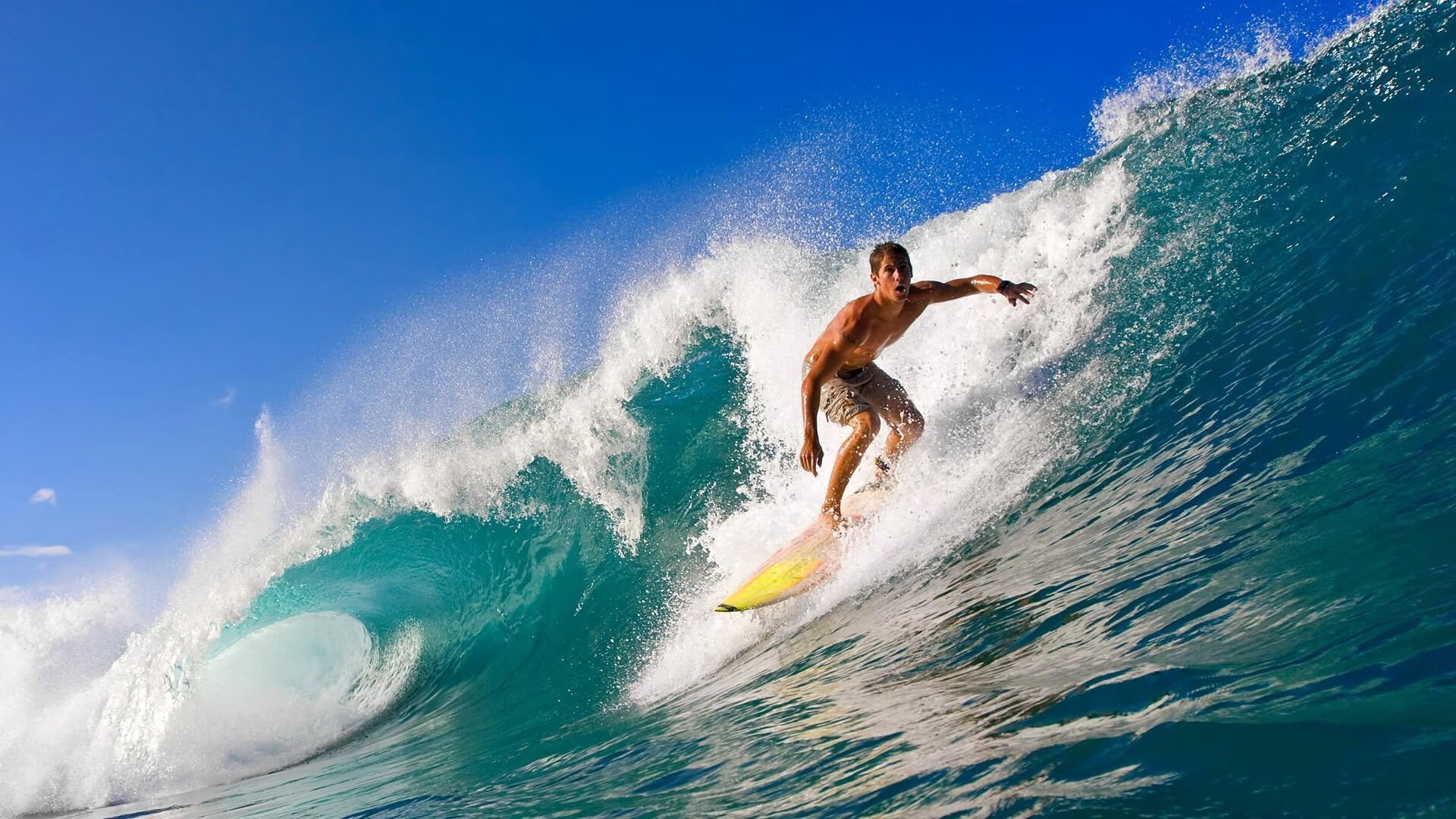 “霍斯特全能防守，帮助南非队成为世界顶级强队”